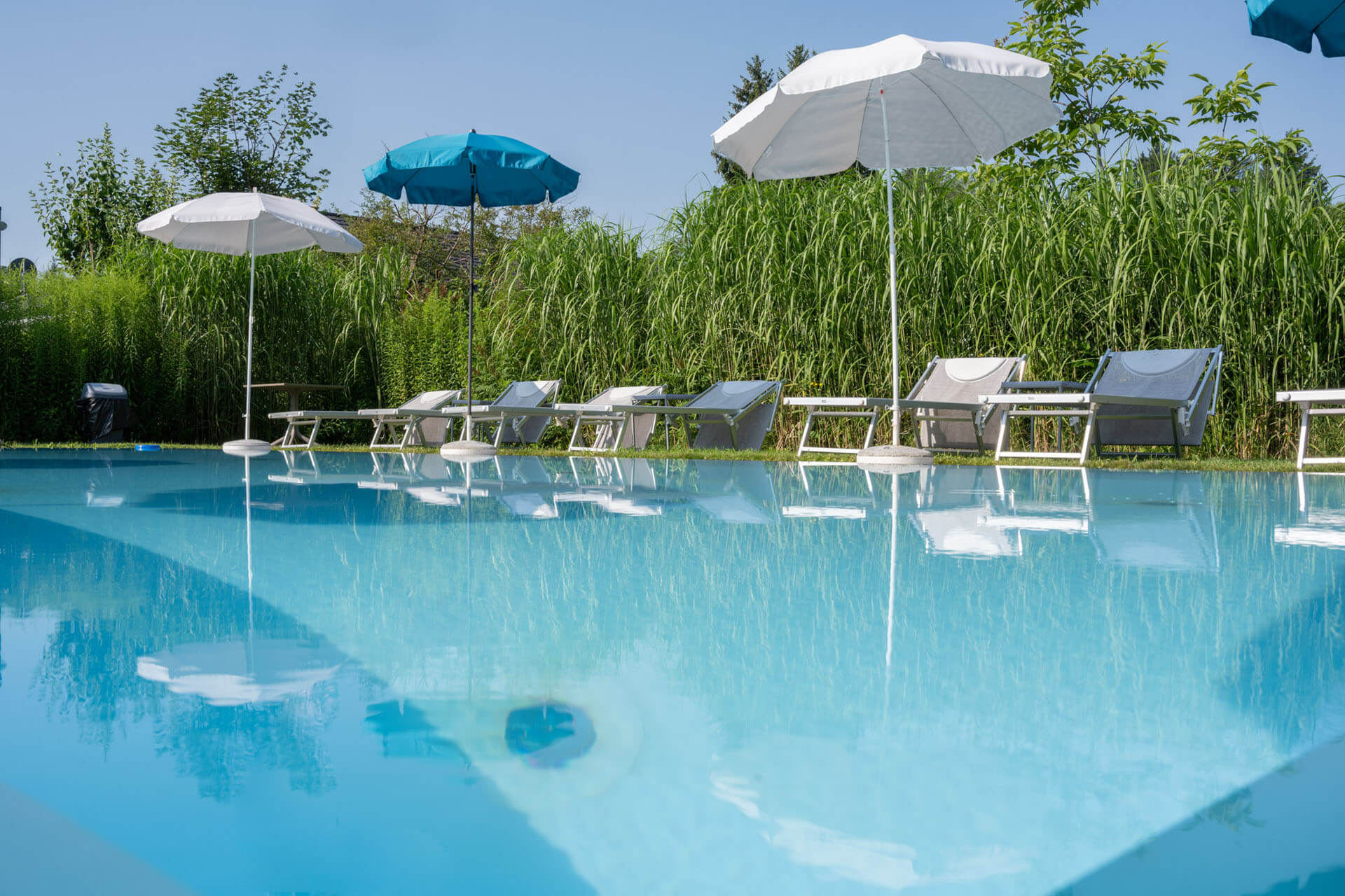 villa flora pool 6